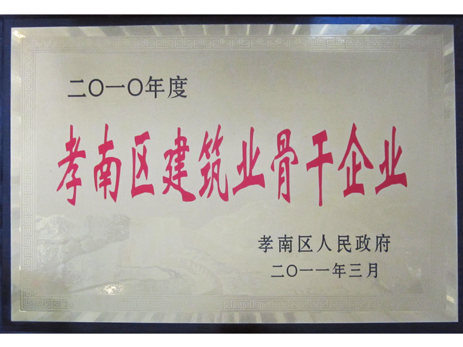 2010年孝南區(qū)骨干企業(yè)